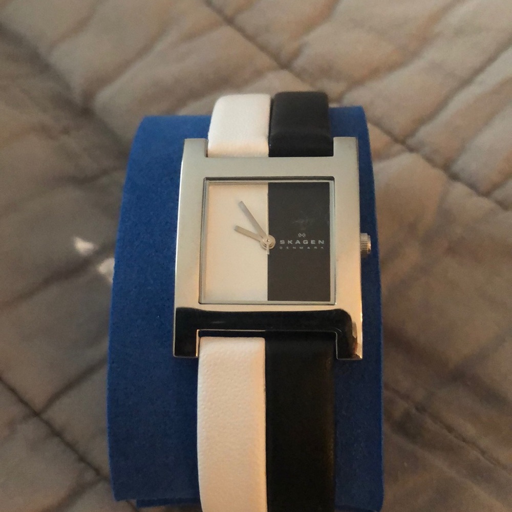 Skagen watch